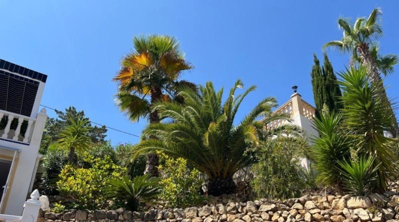 Alicante - La Nucía - 604m2