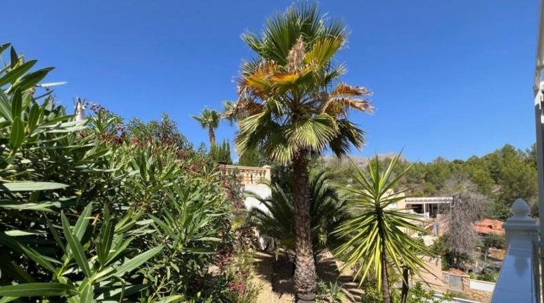 Alicante - La Nucía - 604m2