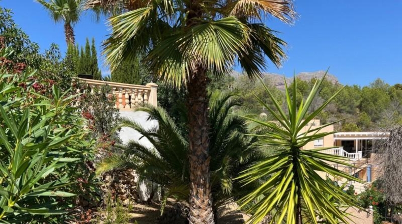 Alicante - La Nucía - 604m2
