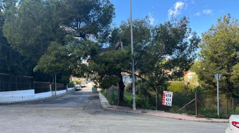 Мурсия - Murcia - 1600m2
