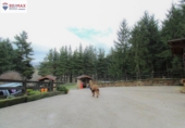Finca rústica en venta en la España, Olaberría, ref: TR300345 foto
