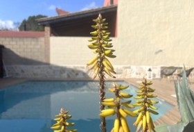 Ventalló 442&nbsp;m² 