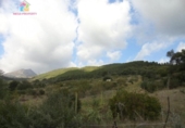 Земля на продажу у города Gaucín Фото