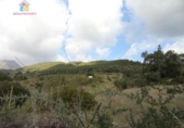 Земля на продажу у города Gaucín Фото