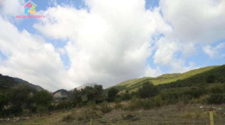 Málaga - Gaucín - 66000m2