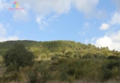 Земля на продажу у города Gaucín Фото