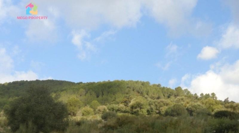 Málaga - Gaucín - 66000m2