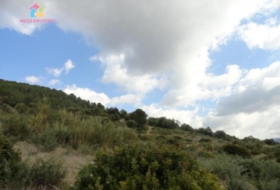 Gaucín 66000&nbsp;m² 
