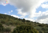 Земля на продажу у города Gaucín Фото