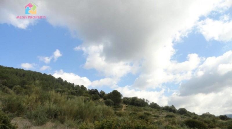 Málaga - Gaucín - 66000m2