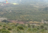 Земля на продажу у города Gaucín Фото