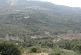Gaucín 66000&nbsp;m² 