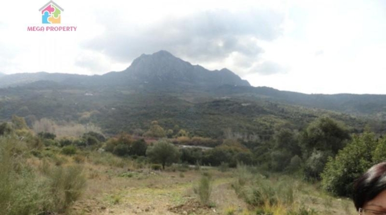 Málaga - Gaucín - 66000m2