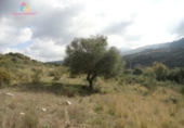 Земля на продажу у города Gaucín Фото