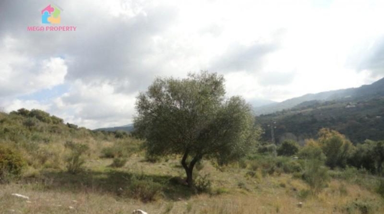 Málaga - Gaucín - 66000m2
