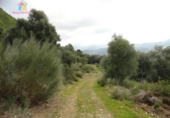Земля на продажу у города Gaucín Фото