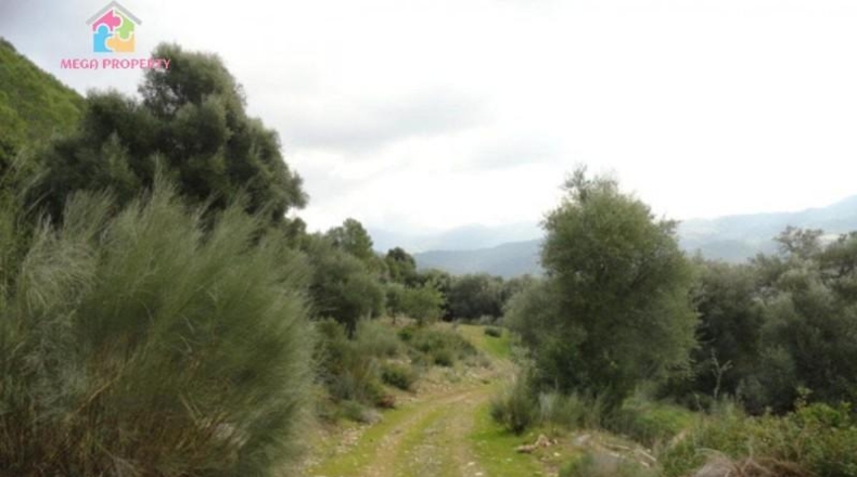 Málaga - Gaucín - 66000m2