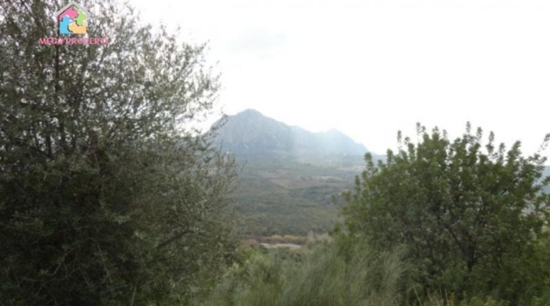 Málaga - Gaucín - 66000m2