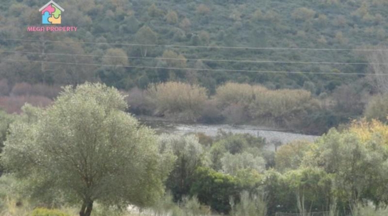 Málaga - Gaucín - 66000m2