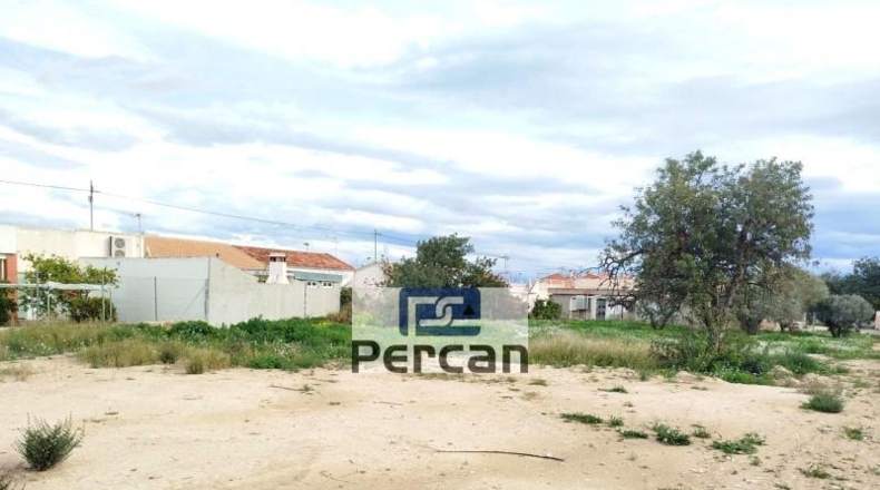 Alicante - Campello - 2450m2