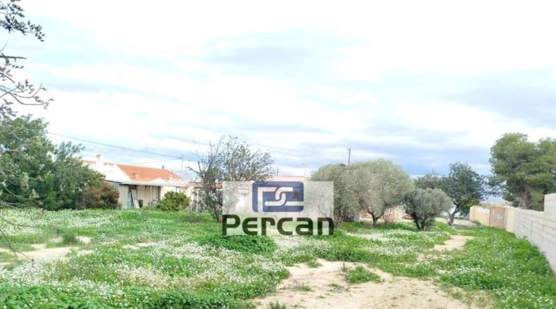 Alicante - Campello - 2450m2