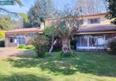 Xalet independent amb terreny en venda a la España, Osebe, ref.: TR314232 foto