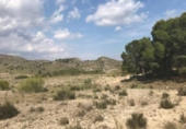 Parcela urbanizable en venta en la España, Collado de Cieza, ref: TR328831 foto