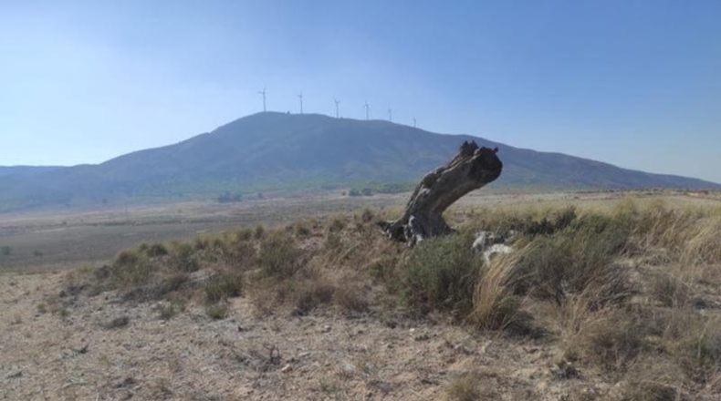 Cantabria - Collado de Cieza - 407154m2