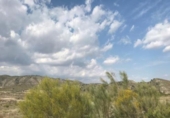 Parcela urbanizable en venta en la España, Collado de Cieza, ref: TR328831 foto