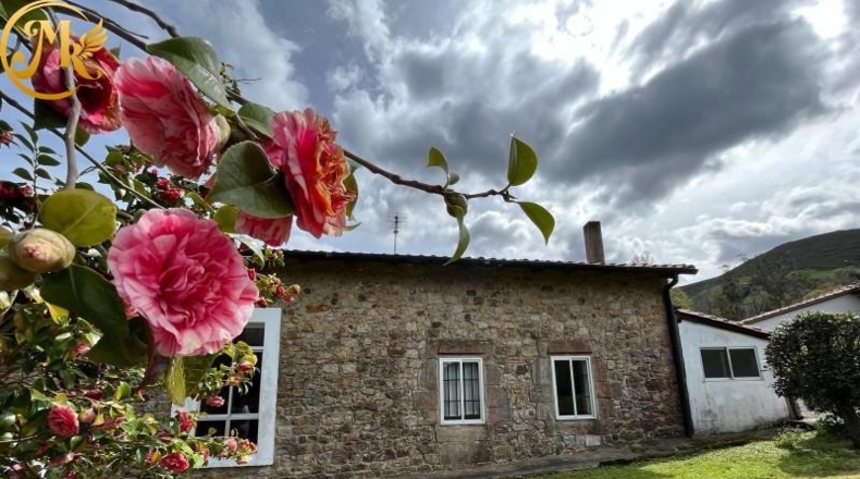 Cantabria - Cabezón de la Sal - 600m2
