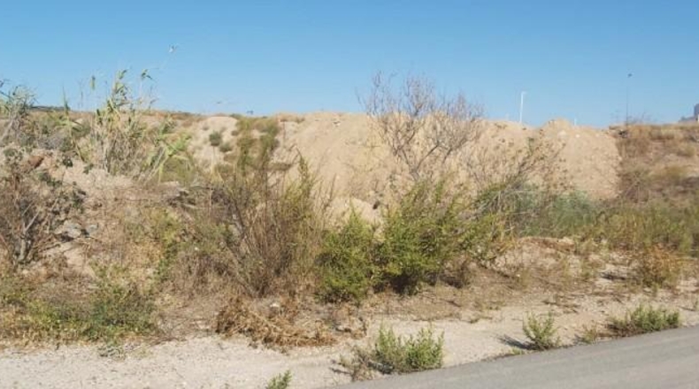 Múrcia - Murcia - 11390m2