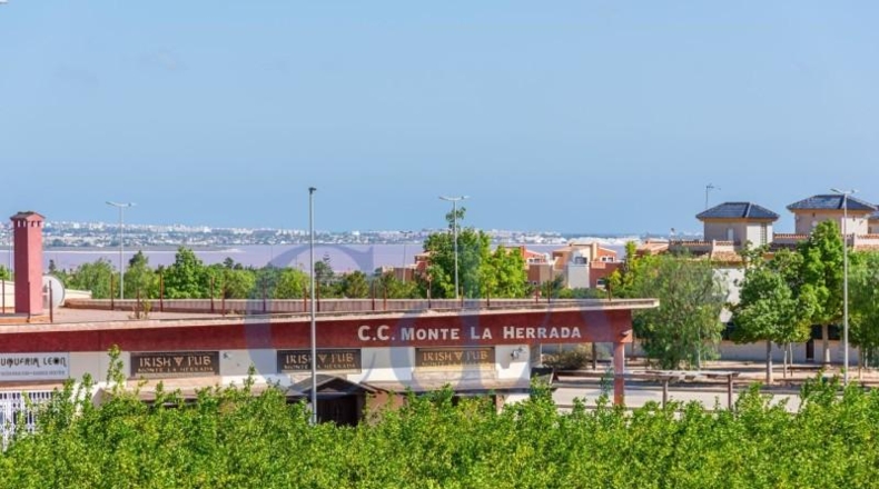 Alicante - Los Montesinos - 280m2