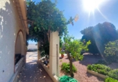Chalet independiente con terreno en venta en la España, la Marina, ref: TR333454 foto