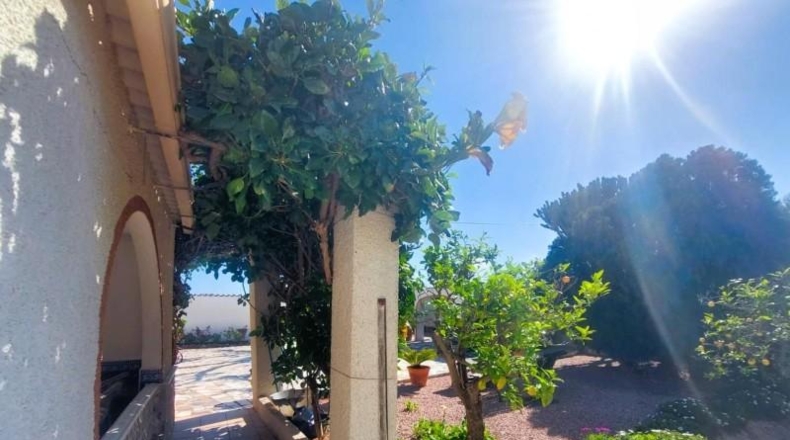 Alicante - San Fulgencio - 3086m2