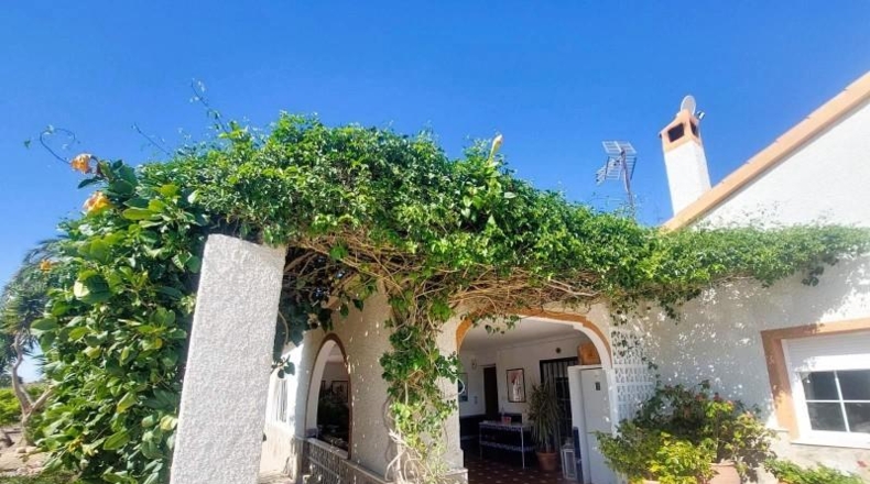 Alicante - San Fulgencio - 3086m2