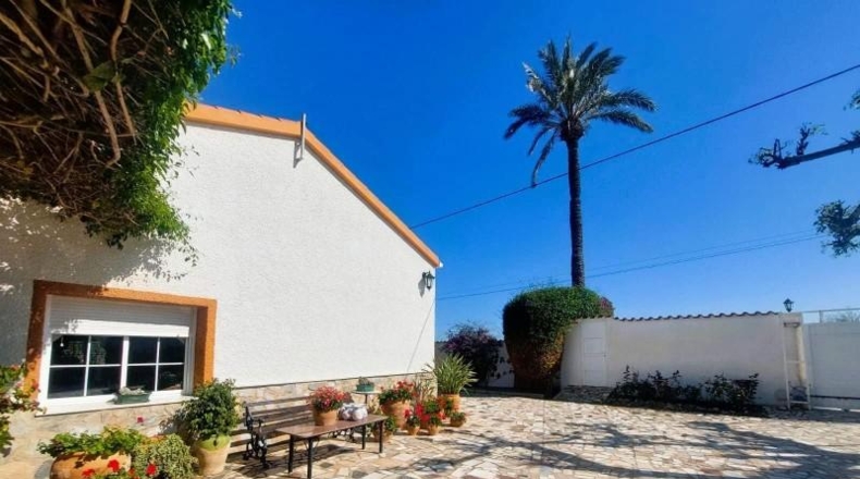 Alicante - San Fulgencio - 3086m2