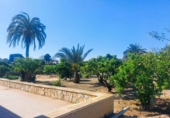 Chalet independiente con terreno en venta en la España, la Marina, ref: TR333454 foto