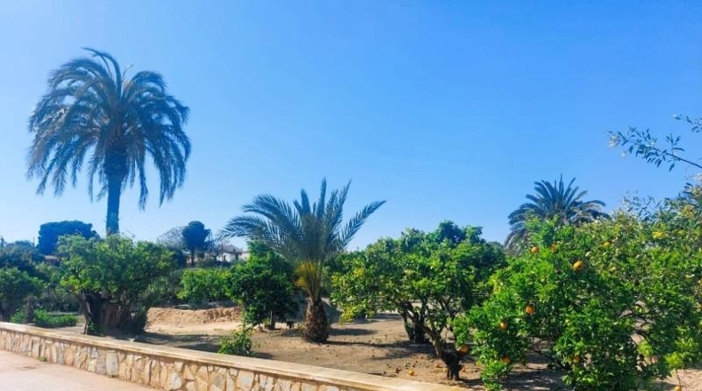 Alicante - San Fulgencio - 3086m2