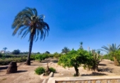 Chalet independiente con terreno en venta en la España, la Marina, ref: TR333454 foto