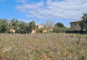 Urban land for sale on España, Santa Eugènia, ref: TR130418 photo
