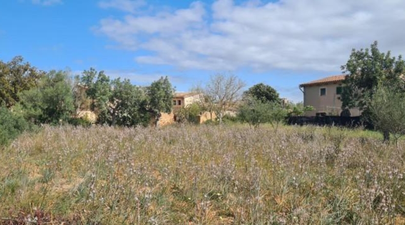 Balearic Islands - Santa Eugènia - 2241m2