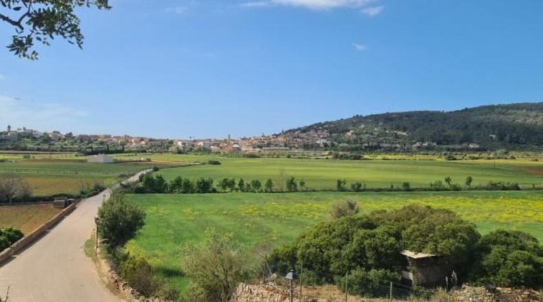 Balearic Islands - Santa Eugènia - 2241m2