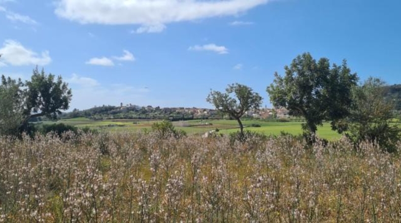 Balearic Islands - Santa Eugènia - 2241m2