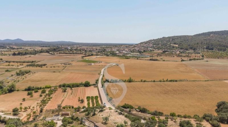 Balearic Islands - Santa Eugènia - 2241m2