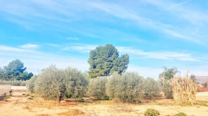 Murcia - Lorca - 4690m2