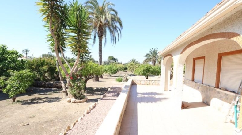 Alicante - Elche - 3086m2