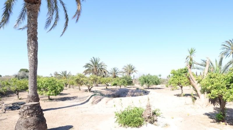 Alicante - Elche - 3086m2