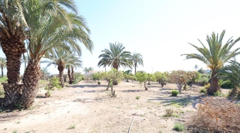 Alicante - Elche - 3086m2