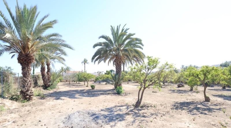 Alicante - Elche - 3086m2
