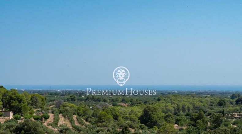Tarragona - Riudecanyes - 33057m2